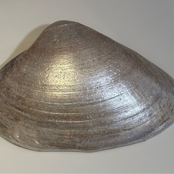 Lemon Patterned Decorative Clamshell - Picture 5 of 8